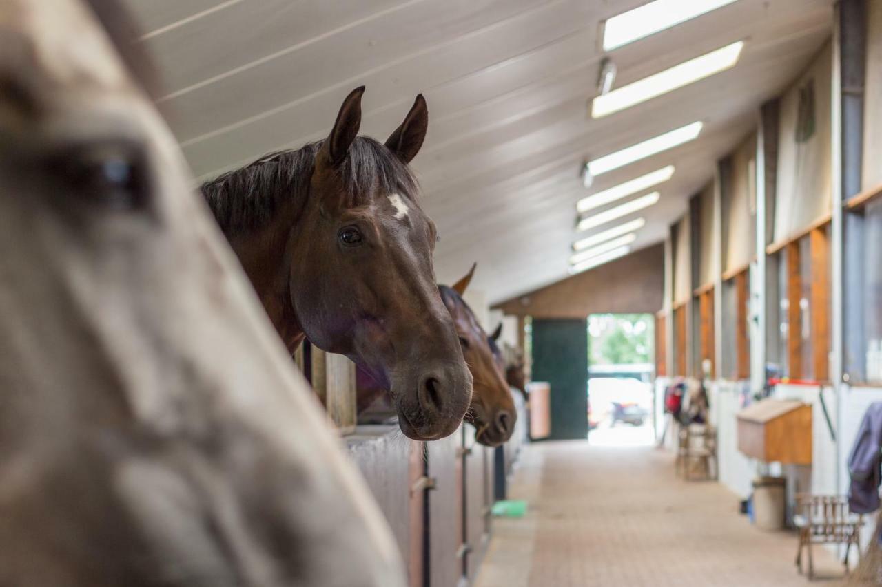 Lenthe Farm Lodge Dalfsen Bagian luar foto