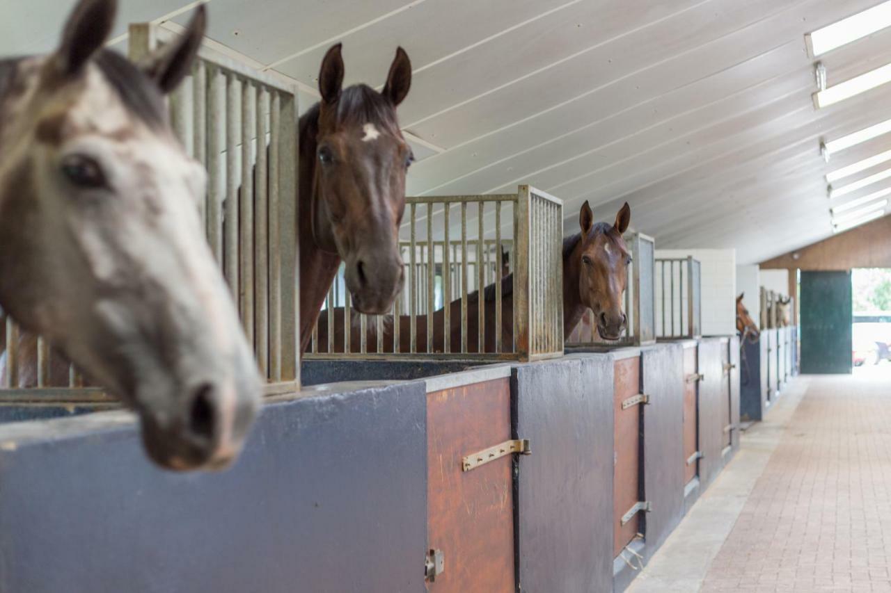 Lenthe Farm Lodge Dalfsen Bagian luar foto